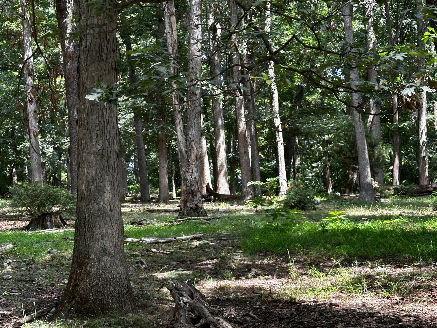 Image for 39.25 +/- Acres w/3 BR Farm House, 2 Poultry Houses, Loafing Shed & Litter Storage Shed--Rockingham County, VA