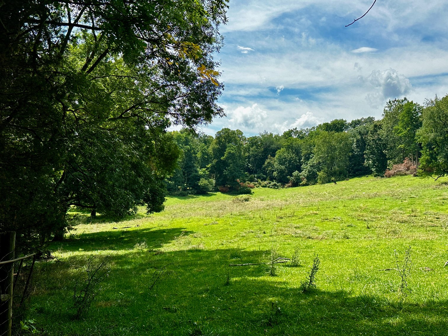 Image for 39.25 +/- Acres w/3 BR Farm House, 2 Poultry Houses, Loafing Shed & Litter Storage Shed--Rockingham County, VA