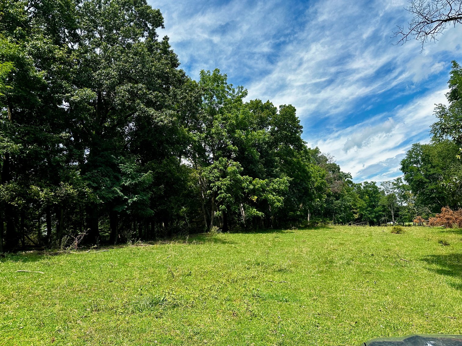 Image for 39.25 +/- Acres w/3 BR Farm House, 2 Poultry Houses, Loafing Shed & Litter Storage Shed--Rockingham County, VA