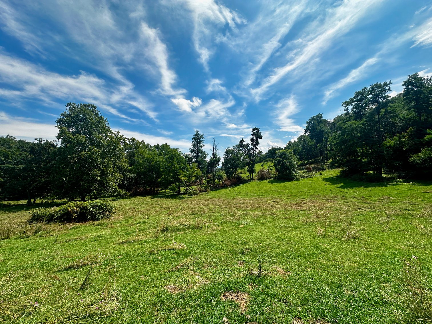 Image for 39.25 +/- Acres w/3 BR Farm House, 2 Poultry Houses, Loafing Shed & Litter Storage Shed--Rockingham County, VA