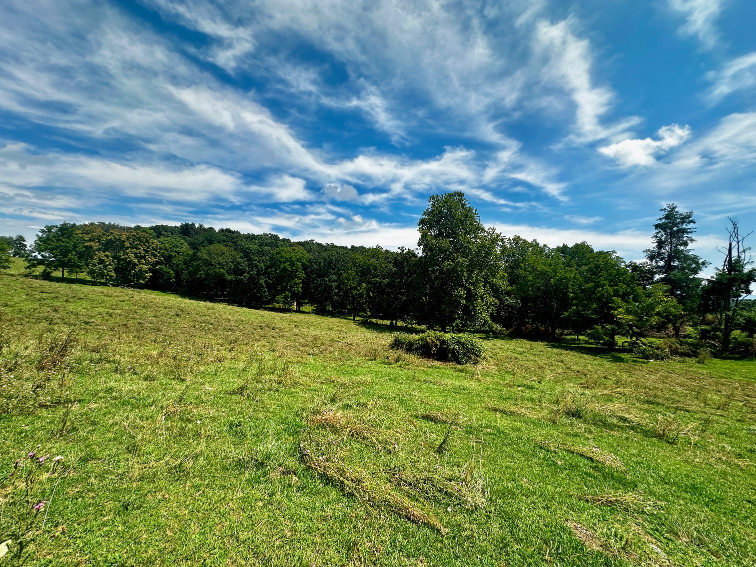 Image for 39.25 +/- Acres w/3 BR Farm House, 2 Poultry Houses, Loafing Shed & Litter Storage Shed--Rockingham County, VA