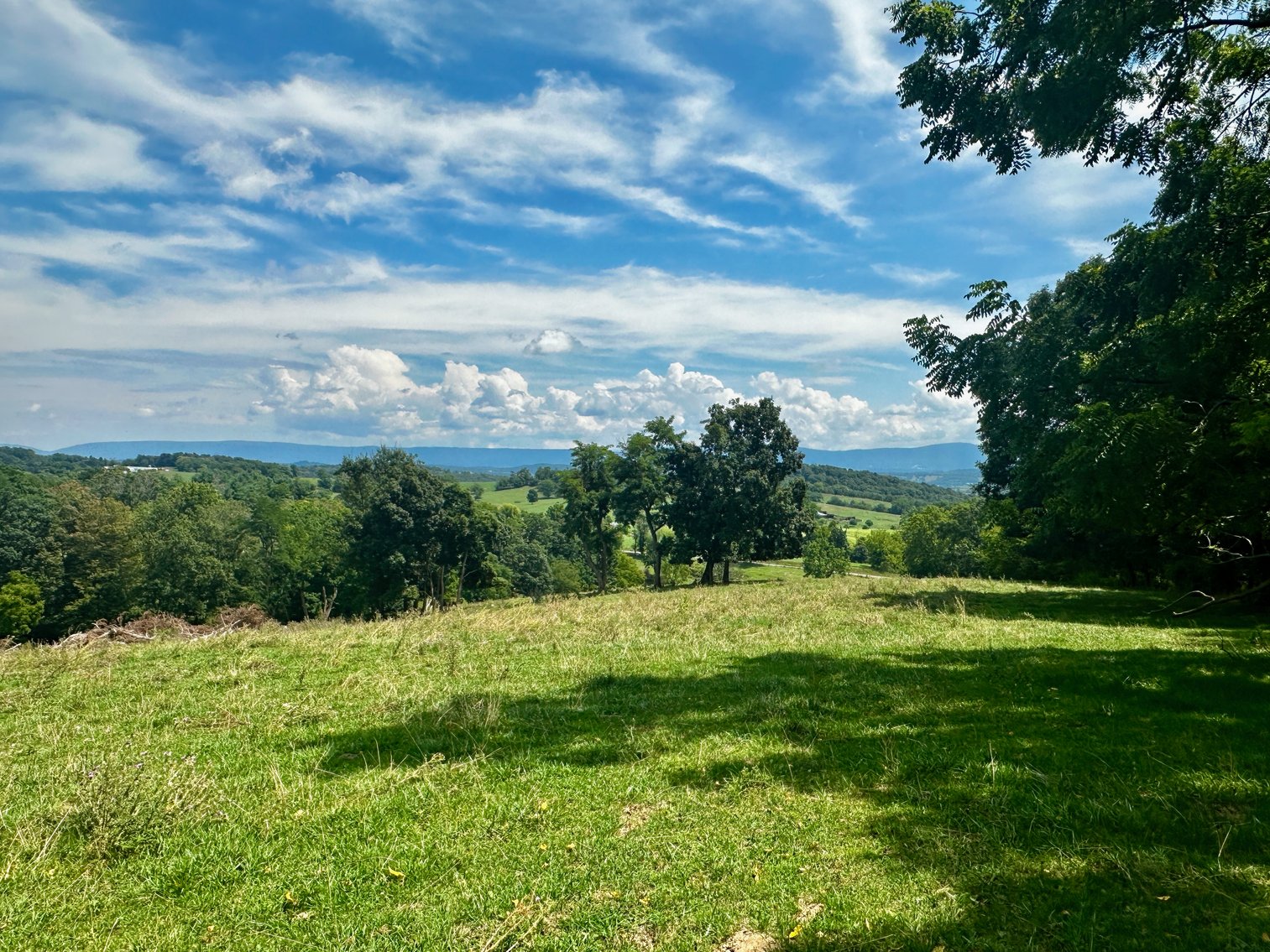 Image for 39.25 +/- Acres w/3 BR Farm House, 2 Poultry Houses, Loafing Shed & Litter Storage Shed--Rockingham County, VA