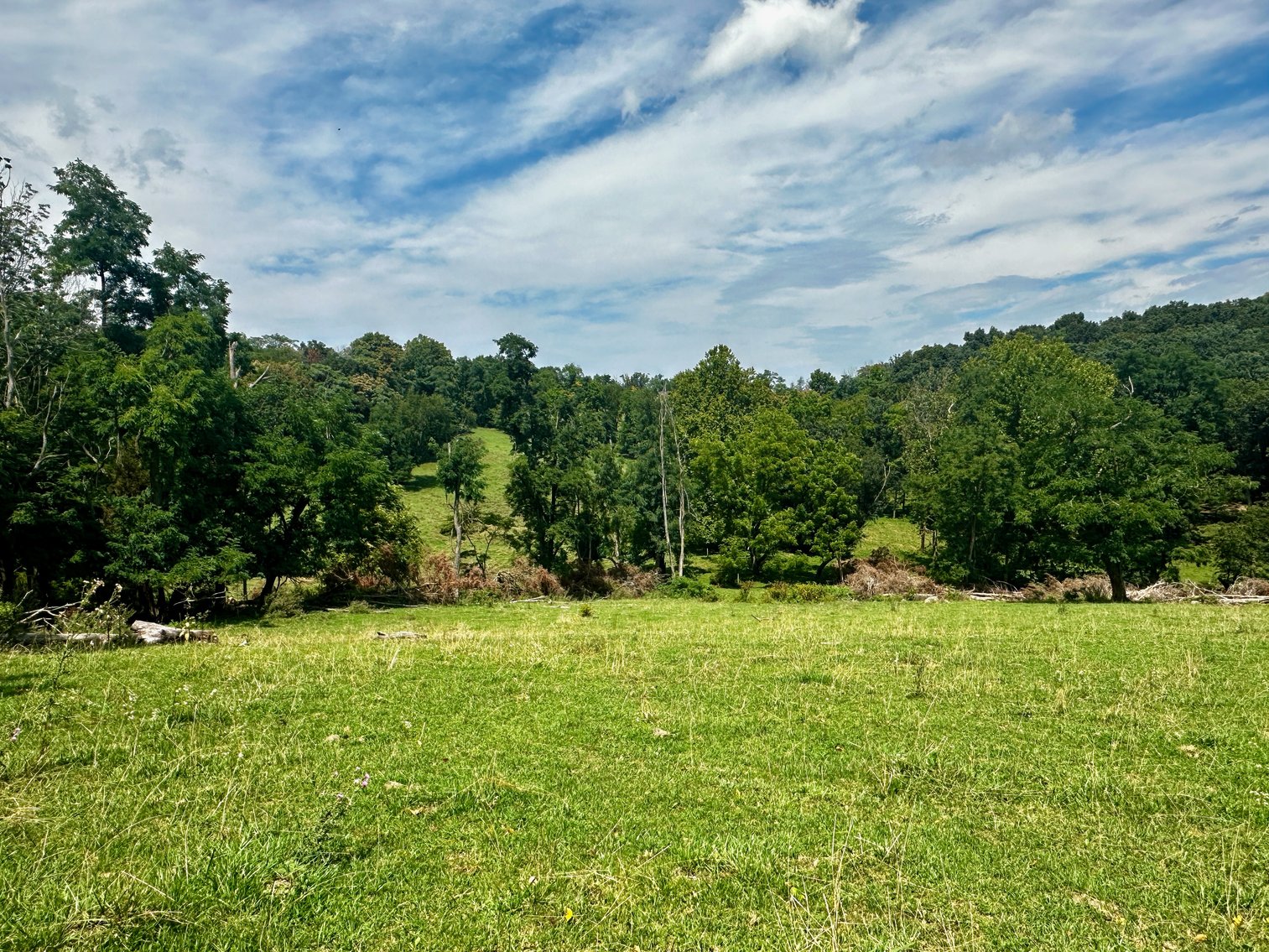 Image for 39.25 +/- Acres w/3 BR Farm House, 2 Poultry Houses, Loafing Shed & Litter Storage Shed--Rockingham County, VA