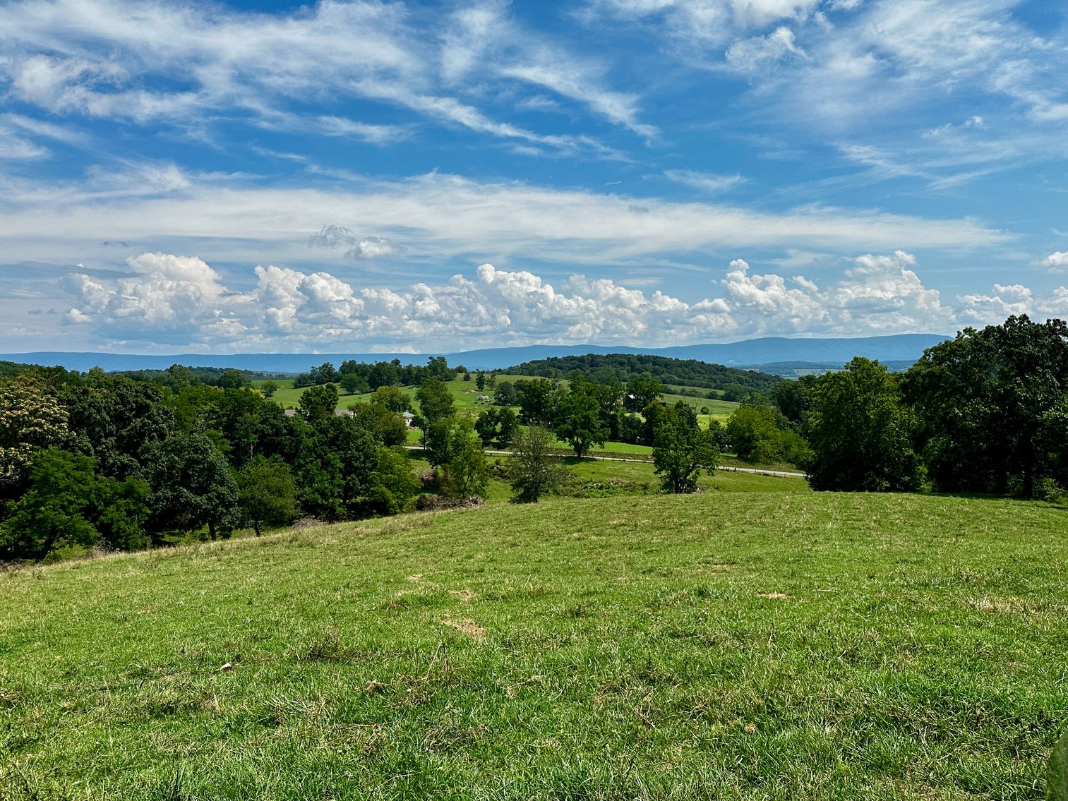 Image for 39.25 +/- Acres w/3 BR Farm House, 2 Poultry Houses, Loafing Shed & Litter Storage Shed--Rockingham County, VA
