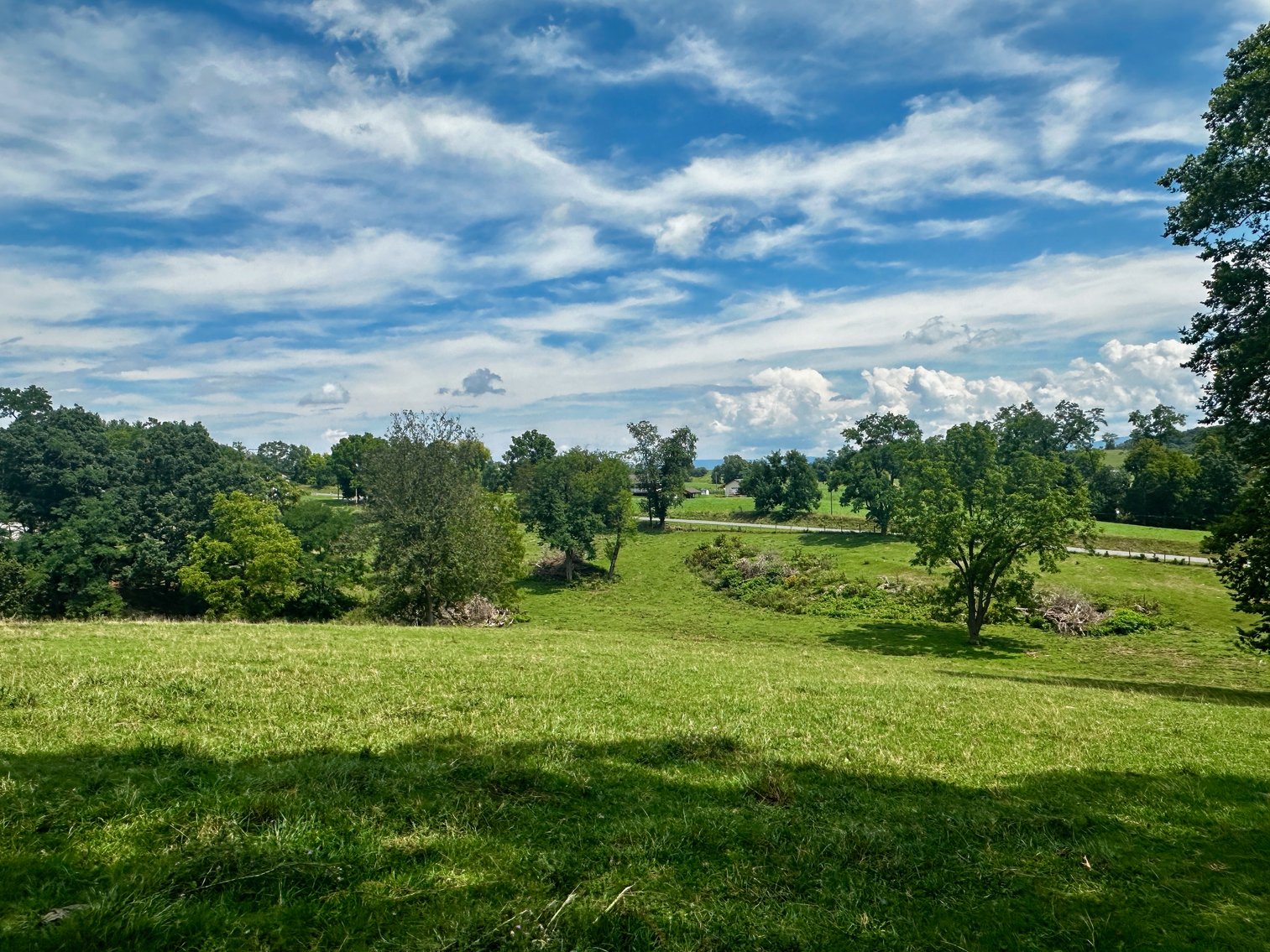 Image for 39.25 +/- Acres w/3 BR Farm House, 2 Poultry Houses, Loafing Shed & Litter Storage Shed--Rockingham County, VA