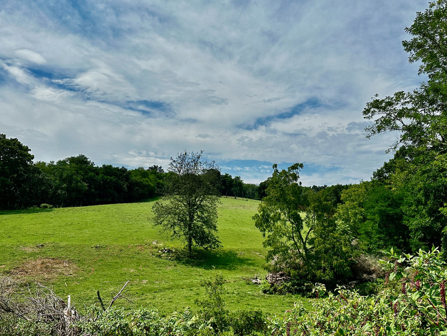 Image for 39.25 +/- Acres w/3 BR Farm House, 2 Poultry Houses, Loafing Shed & Litter Storage Shed--Rockingham County, VA