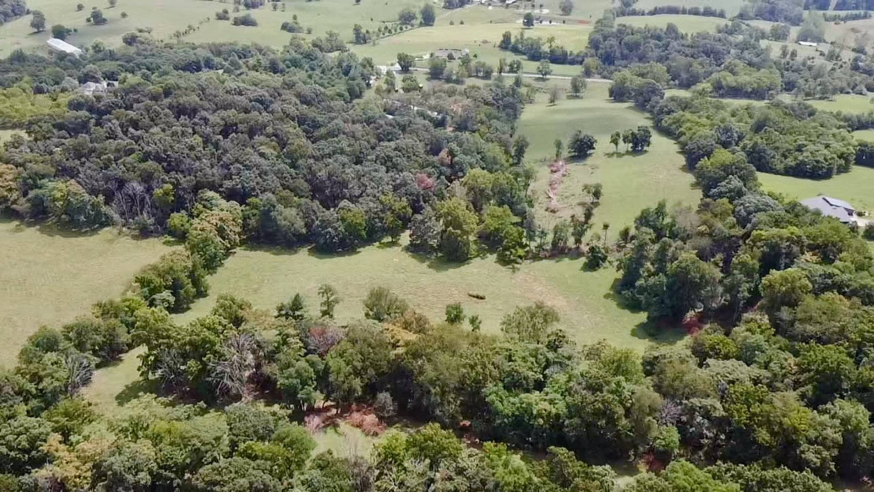 Image for 39.25 +/- Acres w/3 BR Farm House, 2 Poultry Houses, Loafing Shed & Litter Storage Shed--Rockingham County, VA