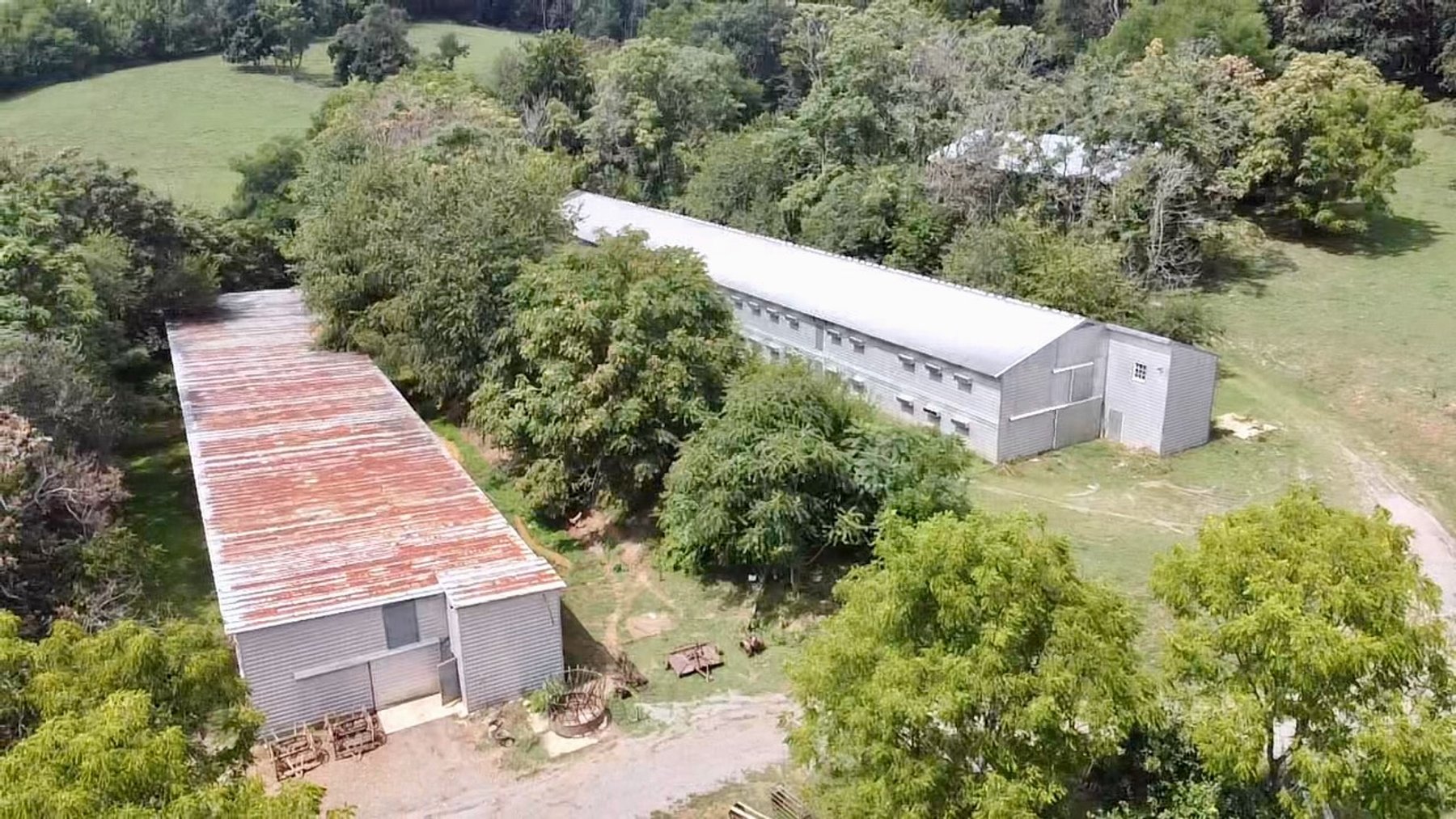 Image for 39.25 +/- Acres w/3 BR Farm House, 2 Poultry Houses, Loafing Shed & Litter Storage Shed--Rockingham County, VA