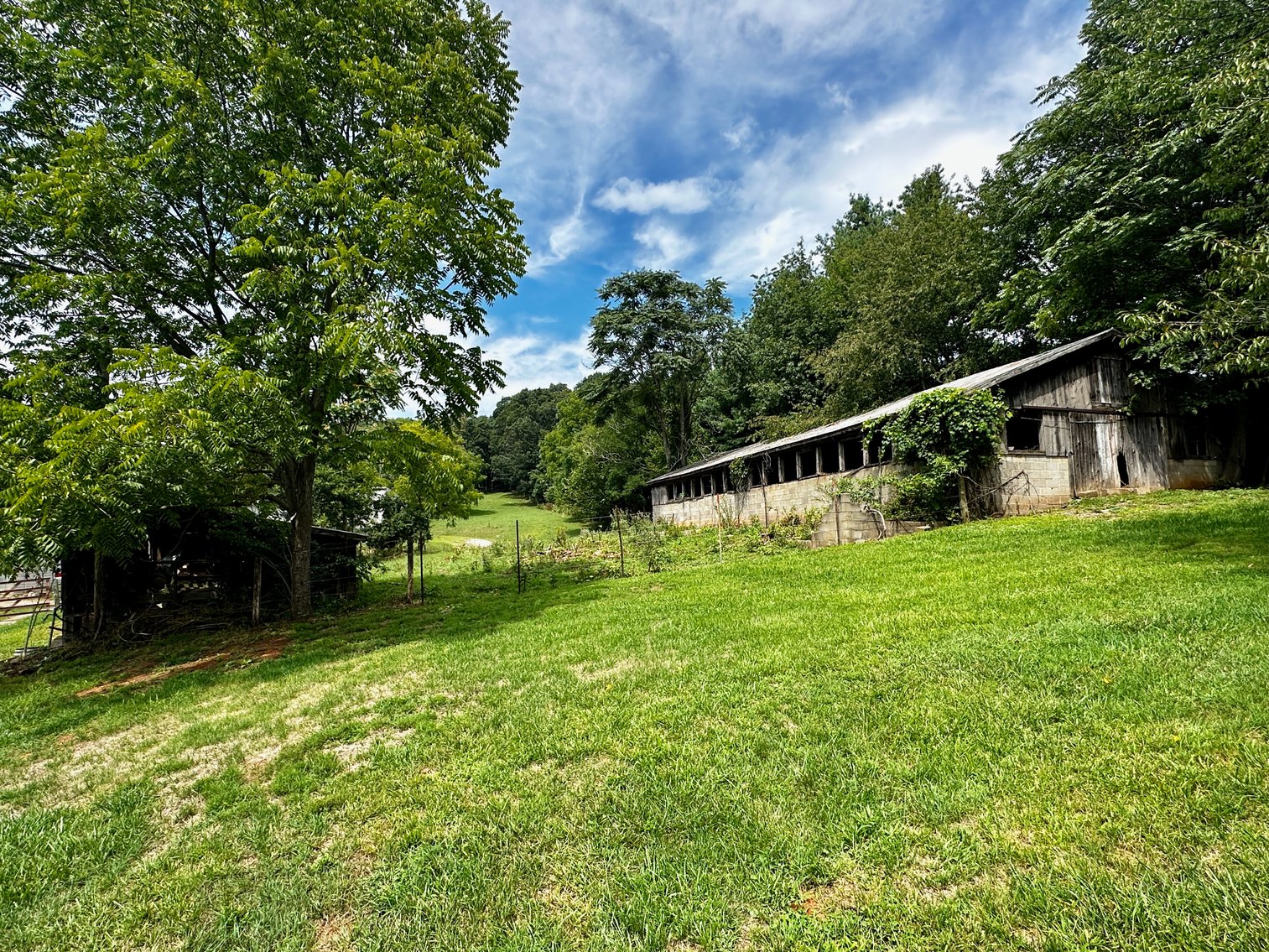 Image for 39.25 +/- Acres w/3 BR Farm House, 2 Poultry Houses, Loafing Shed & Litter Storage Shed--Rockingham County, VA