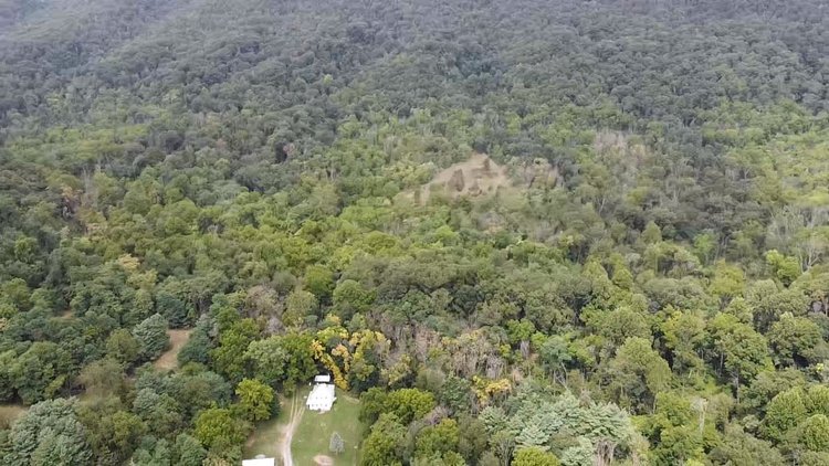 Image for 81 +/- Acre Land Parcel w/Spring House, Access Roads & Tons of Wildlife--Rockingham County, VA