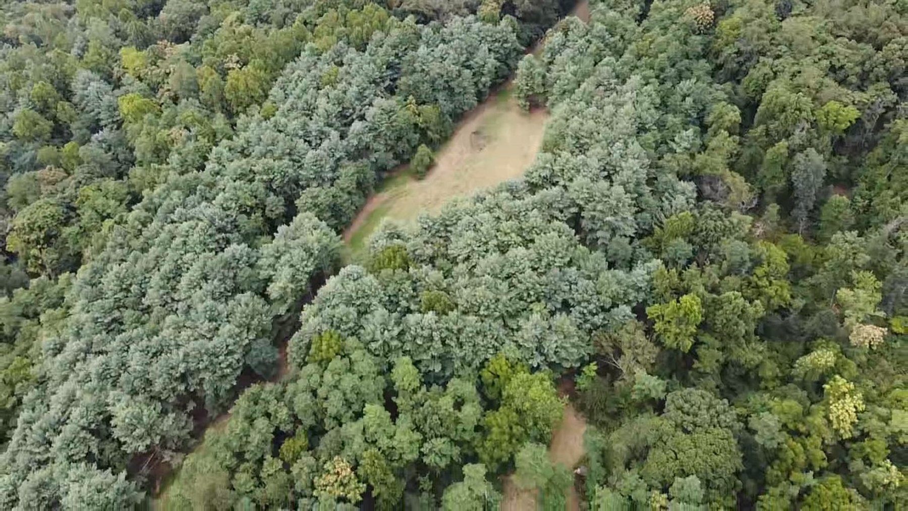 Image for 81 +/- Acre Land Parcel w/Spring House, Access Roads & Tons of Wildlife--Rockingham County, VA