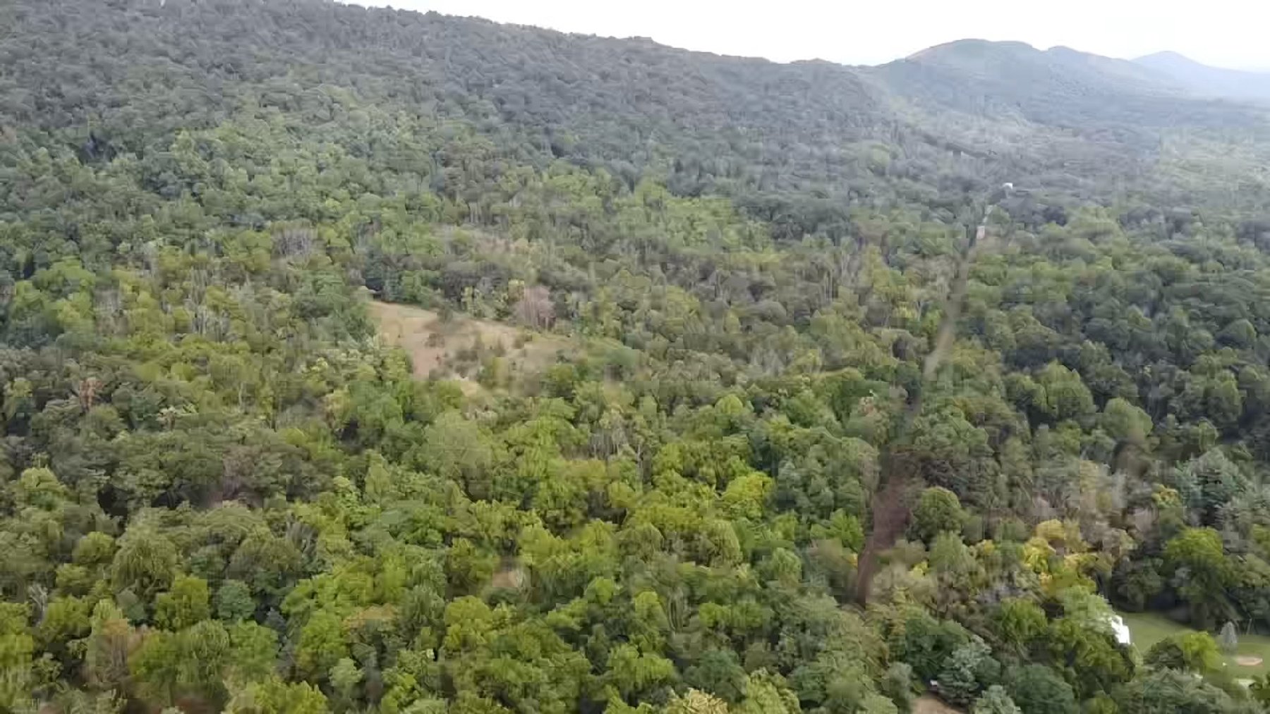 Image for 81 +/- Acre Land Parcel w/Spring House, Access Roads & Tons of Wildlife--Rockingham County, VA