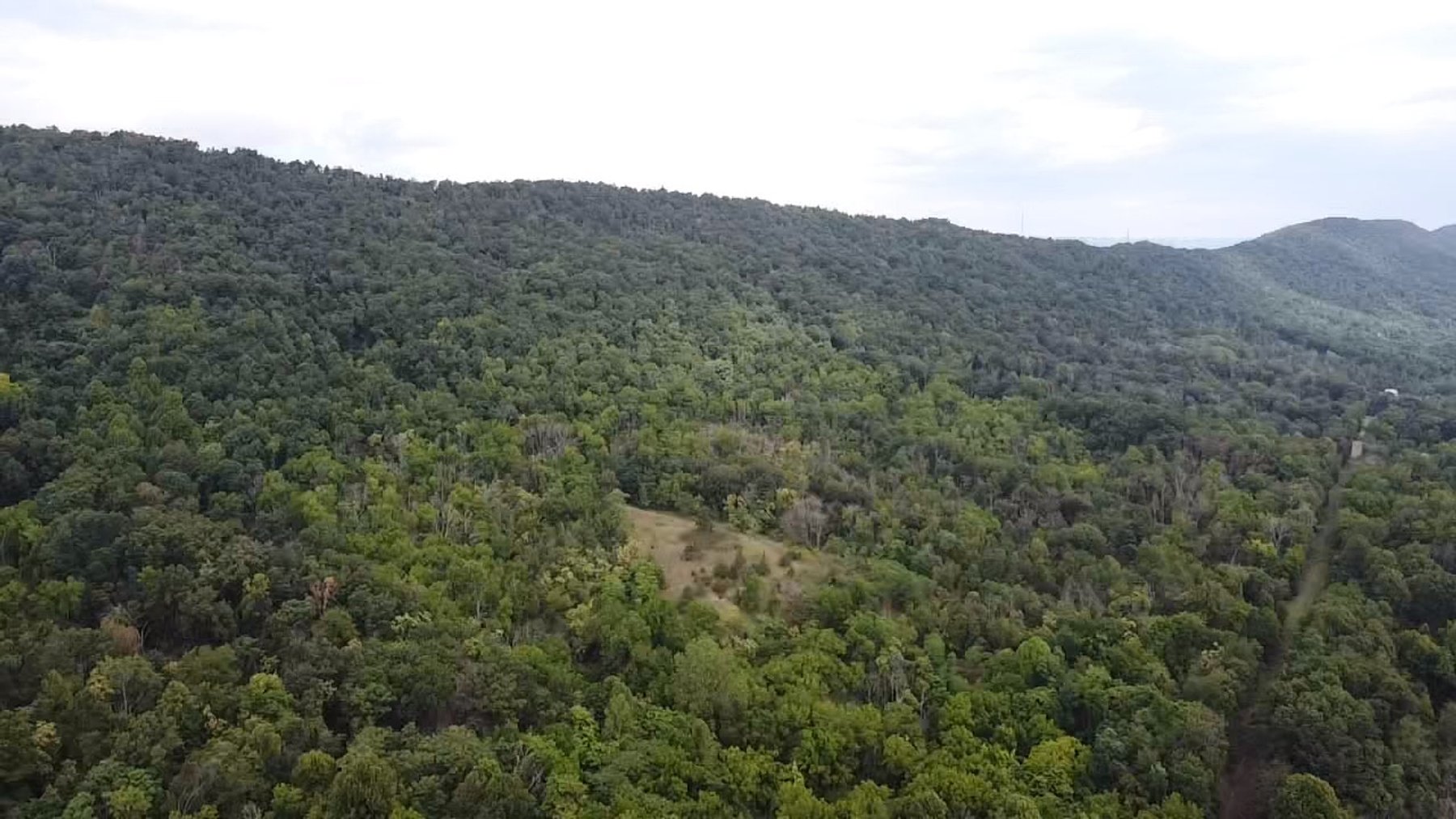 Image for 81 +/- Acre Land Parcel w/Spring House, Access Roads & Tons of Wildlife--Rockingham County, VA