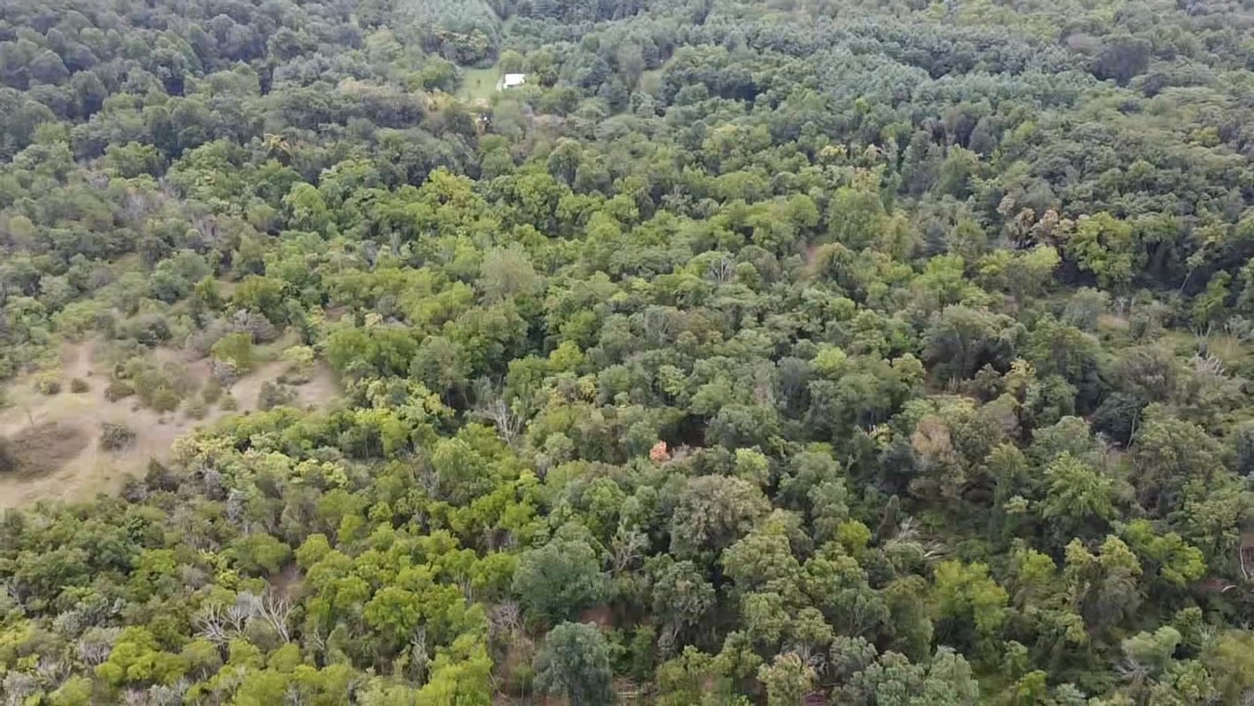 Image for 81 +/- Acre Land Parcel w/Spring House, Access Roads & Tons of Wildlife--Rockingham County, VA