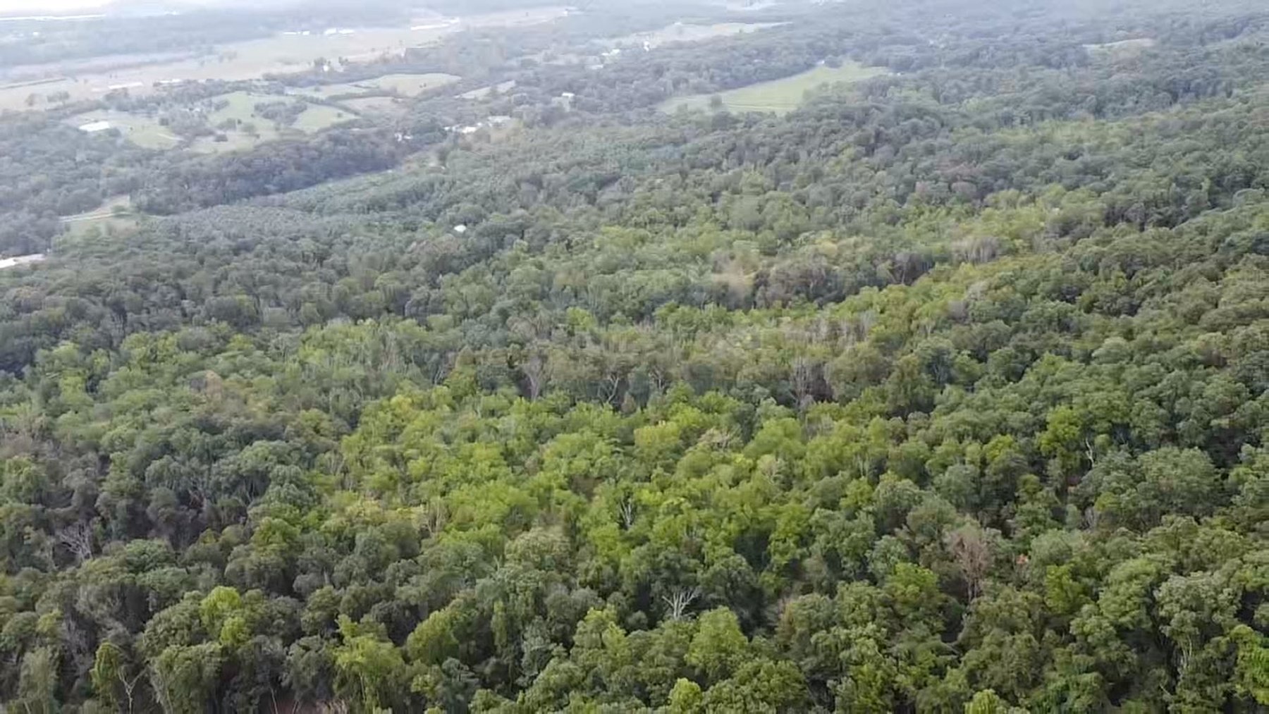 Image for 81 +/- Acre Land Parcel w/Spring House, Access Roads & Tons of Wildlife--Rockingham County, VA