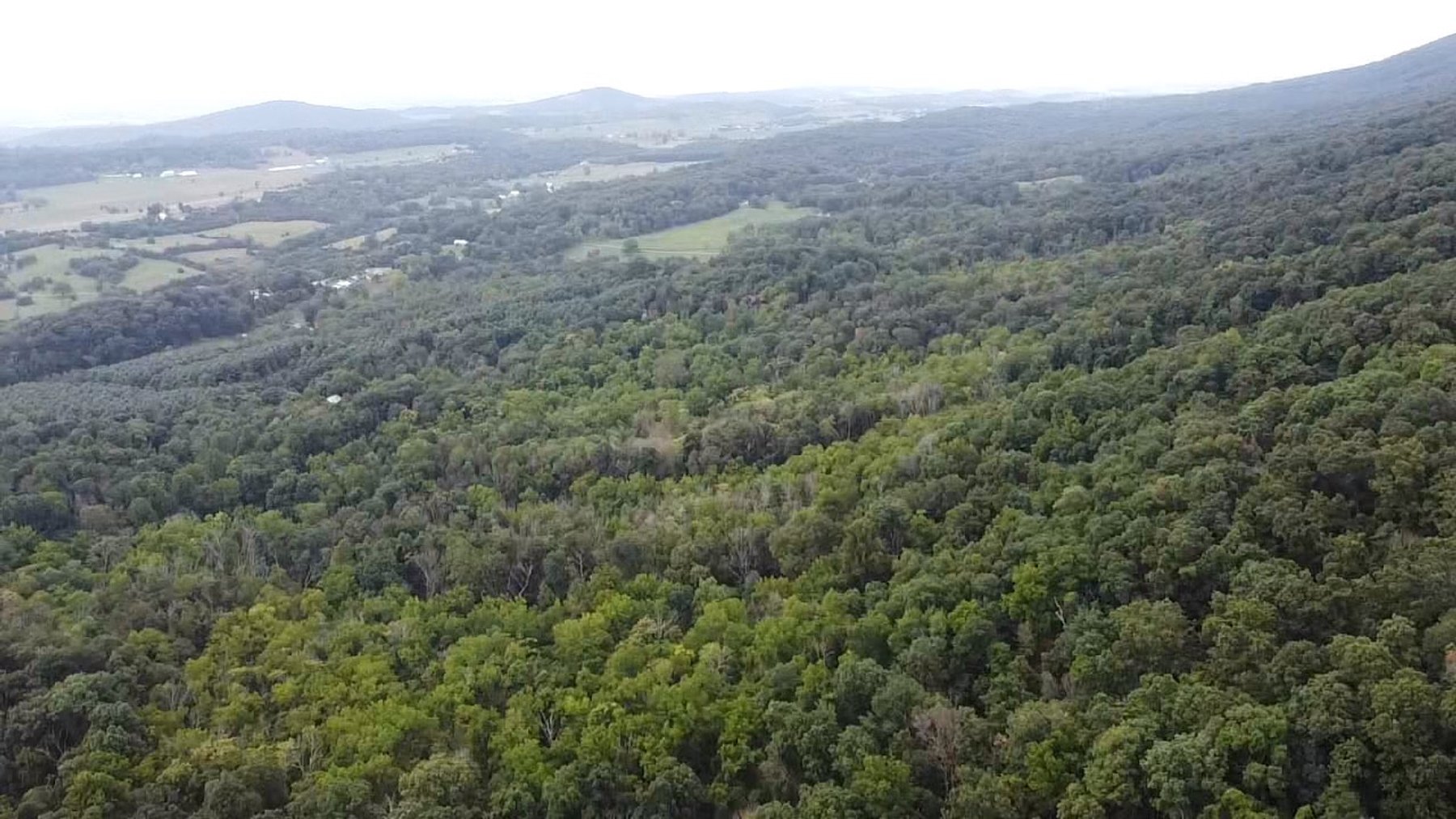 Image for 81 +/- Acre Land Parcel w/Spring House, Access Roads & Tons of Wildlife--Rockingham County, VA