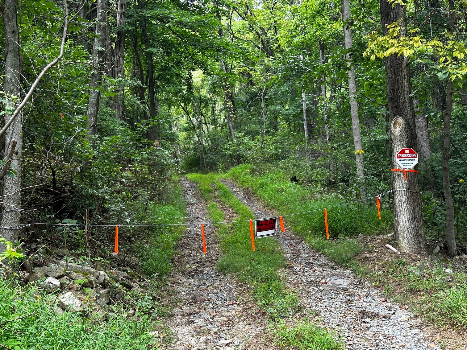 Image for 81 +/- Acre Land Parcel w/Spring House, Access Roads & Tons of Wildlife--Rockingham County, VA