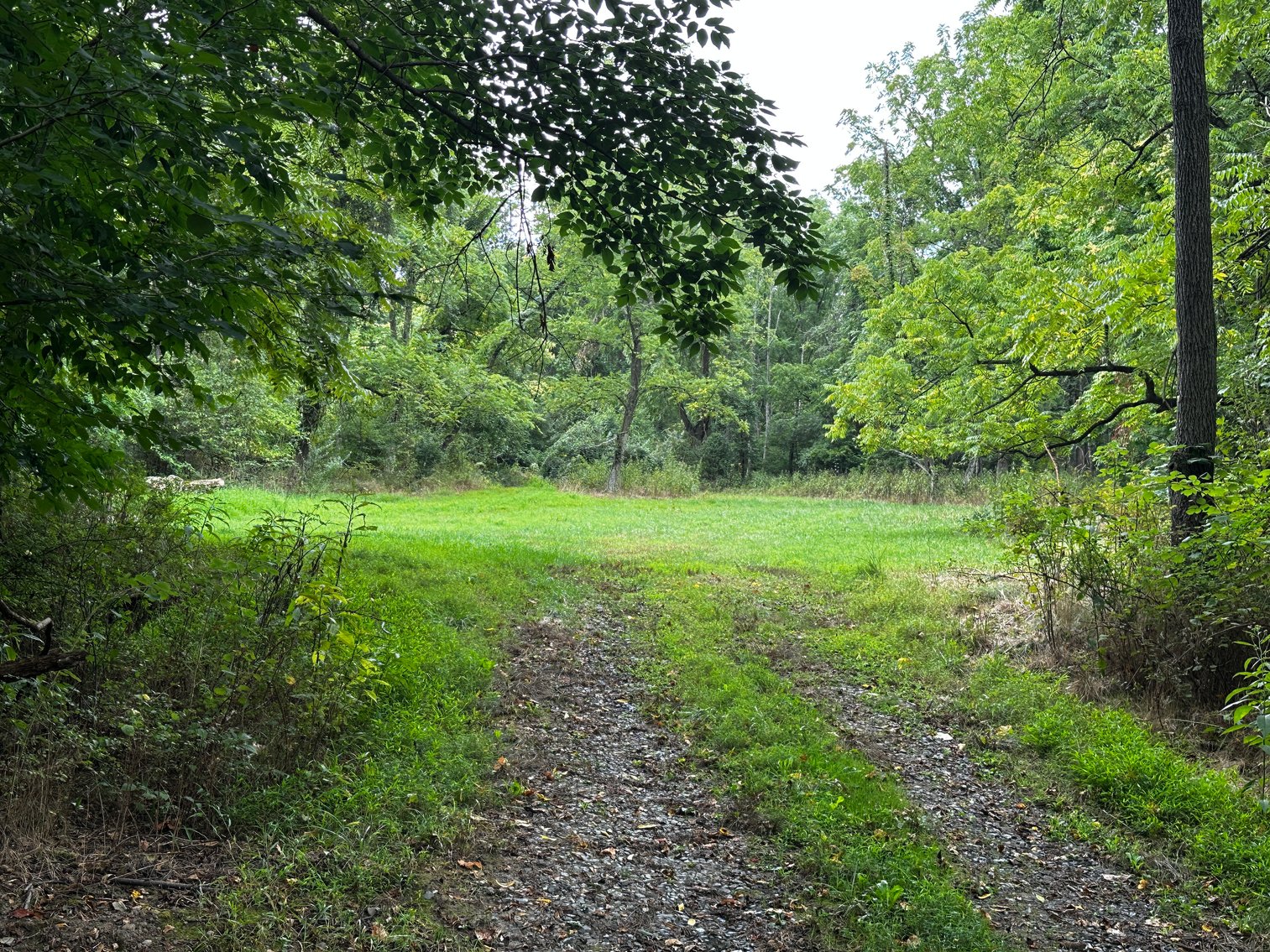 Image for 81 +/- Acre Land Parcel w/Spring House, Access Roads & Tons of Wildlife--Rockingham County, VA