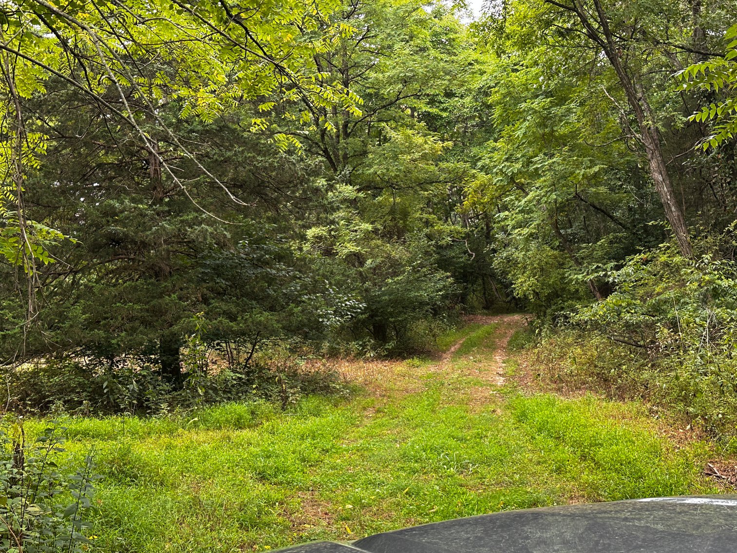 Image for 81 +/- Acre Land Parcel w/Spring House, Access Roads & Tons of Wildlife--Rockingham County, VA