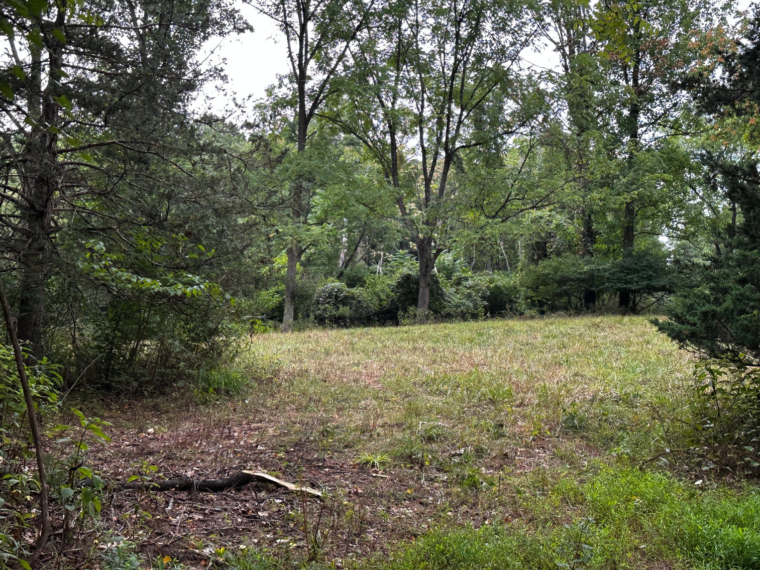 Image for 81 +/- Acre Land Parcel w/Spring House, Access Roads & Tons of Wildlife--Rockingham County, VA
