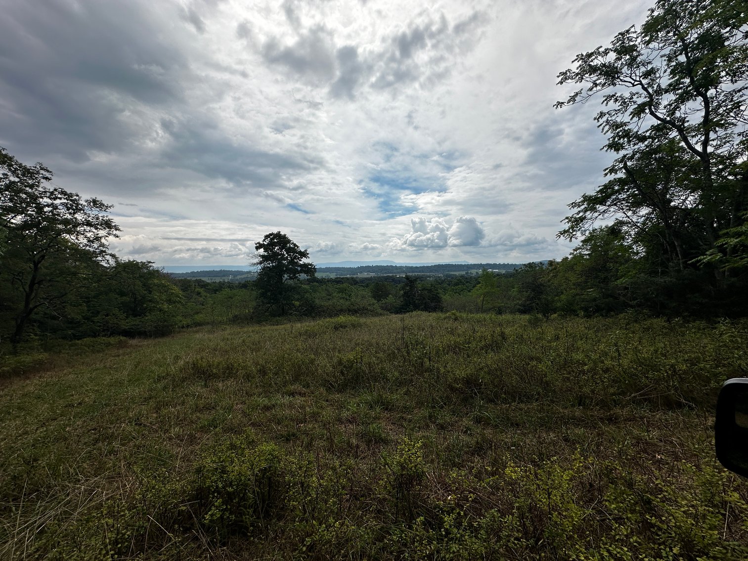 Image for 81 +/- Acre Land Parcel w/Spring House, Access Roads & Tons of Wildlife--Rockingham County, VA