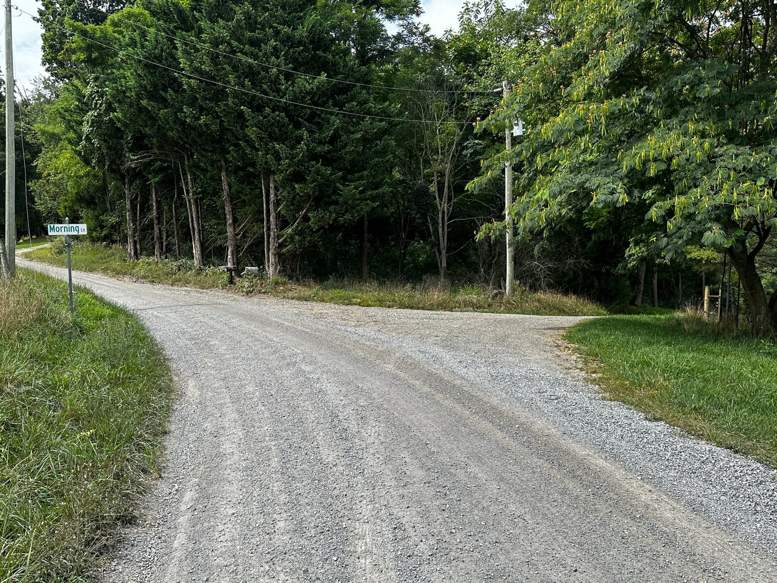 Image for 81 +/- Acre Land Parcel w/Spring House, Access Roads & Tons of Wildlife--Rockingham County, VA