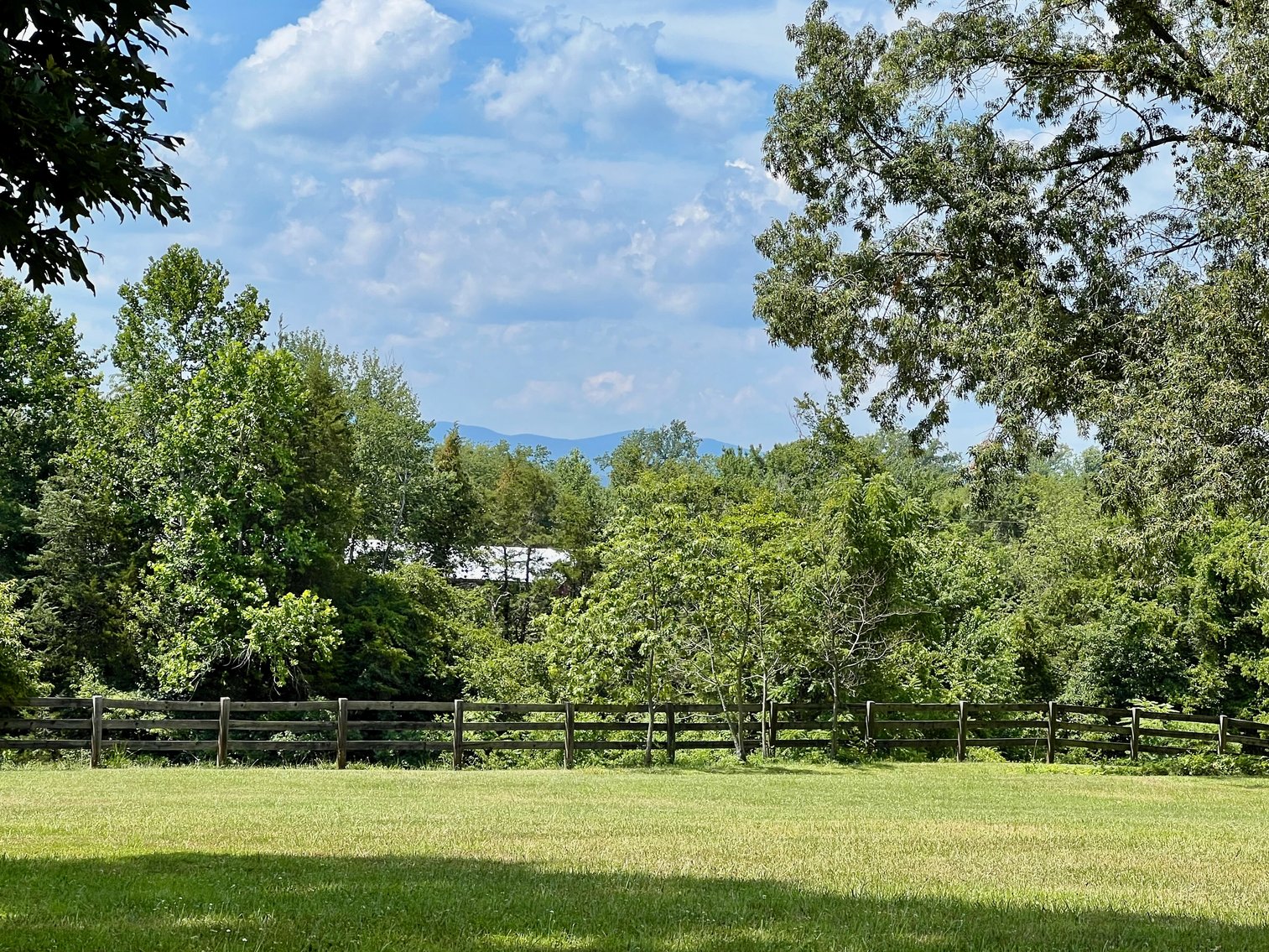 Image for 3 BR/2 BA Brick Home w/Walk-Out Basement on 5 +/- Acres in Madison County, VA--SELLING to the HIGHEST BIDDER!!