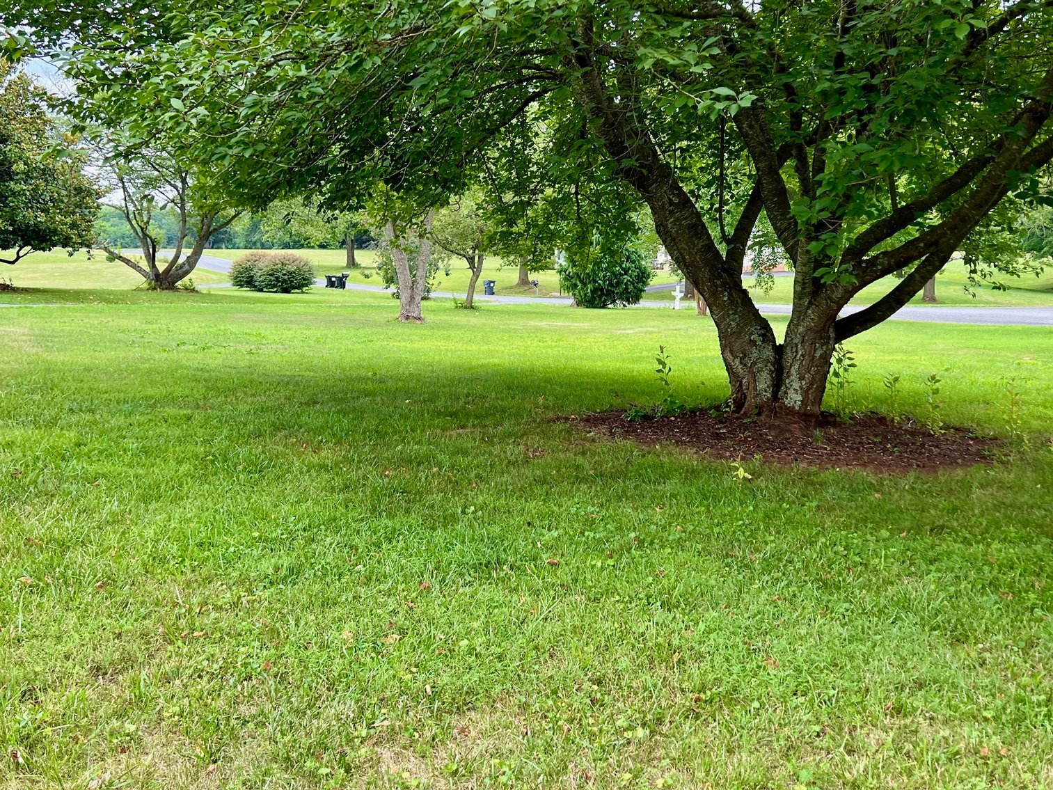 Image for 3 BR/2.5 BA Home w/Recent Upgrades on Large 1.34 +/- Acre Lot in Culpeper, VA--SELLING to the HIGHEST BIDDER!!