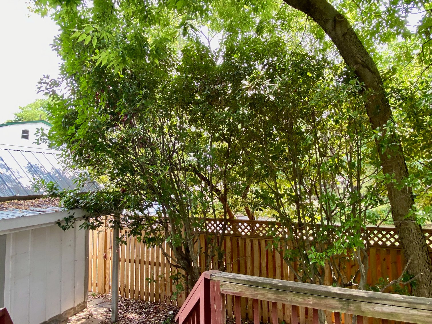 Image for 4 BR/3 BA Home & Adjacent .14 +/- Acre Vacant Lot in The Town of Leesburg, VA--SELLING to the HIGHEST BIDDER!!