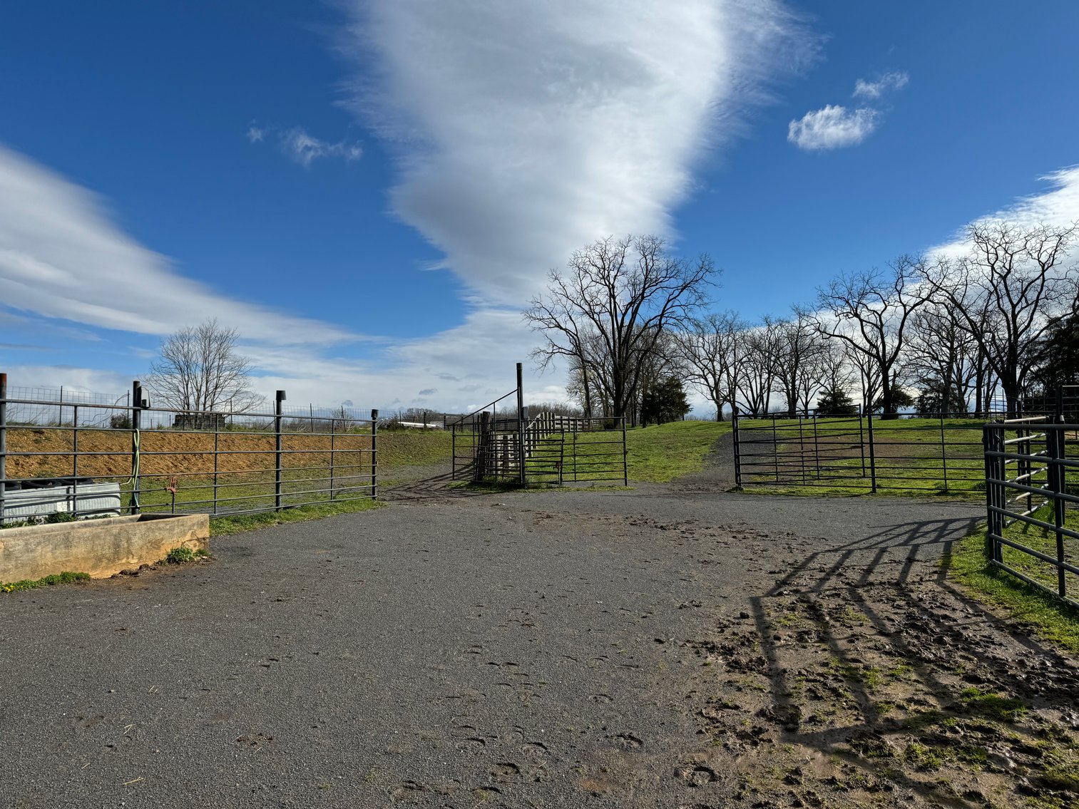 Image for 33.16± Acre Farm in Berryville, VA!