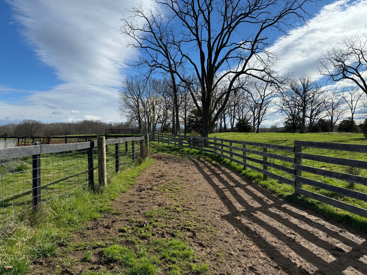 Image for 33.16± Acre Farm in Berryville, VA!
