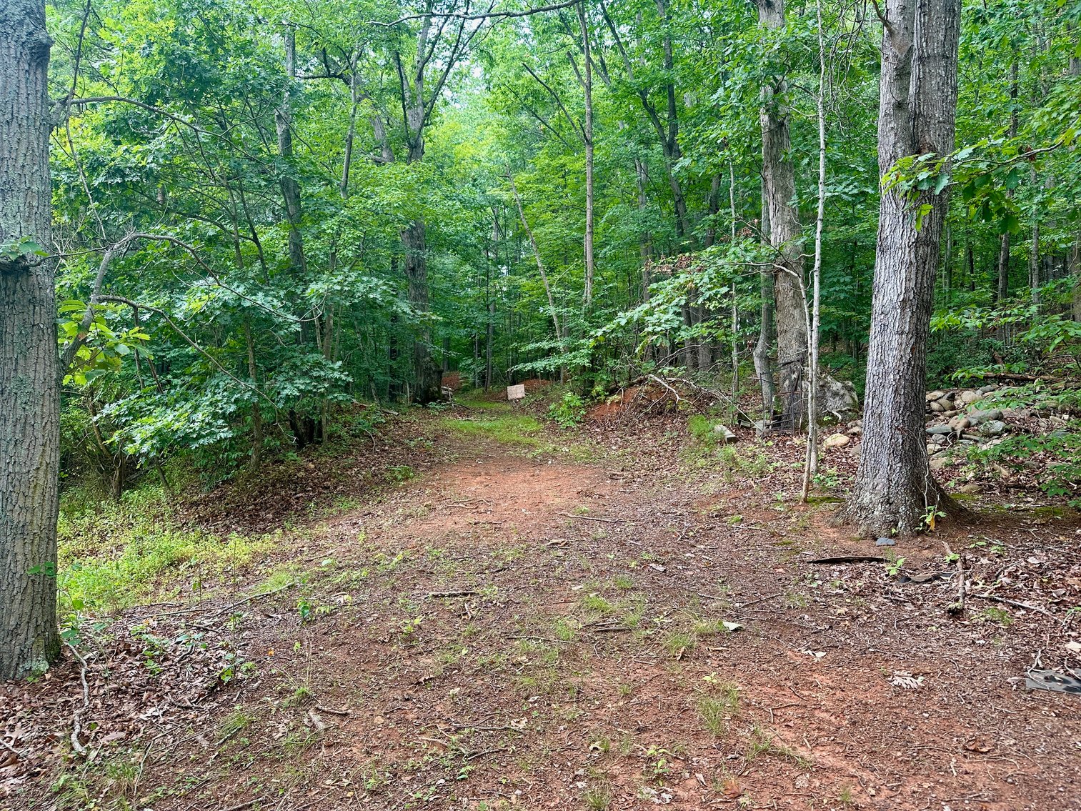 Image for 4 BR/2 BA Log Home on 7.9 +/- Acres w/400' +/- of Rapidan River Frontage & 2 Shops/Garages--Madison County, VA