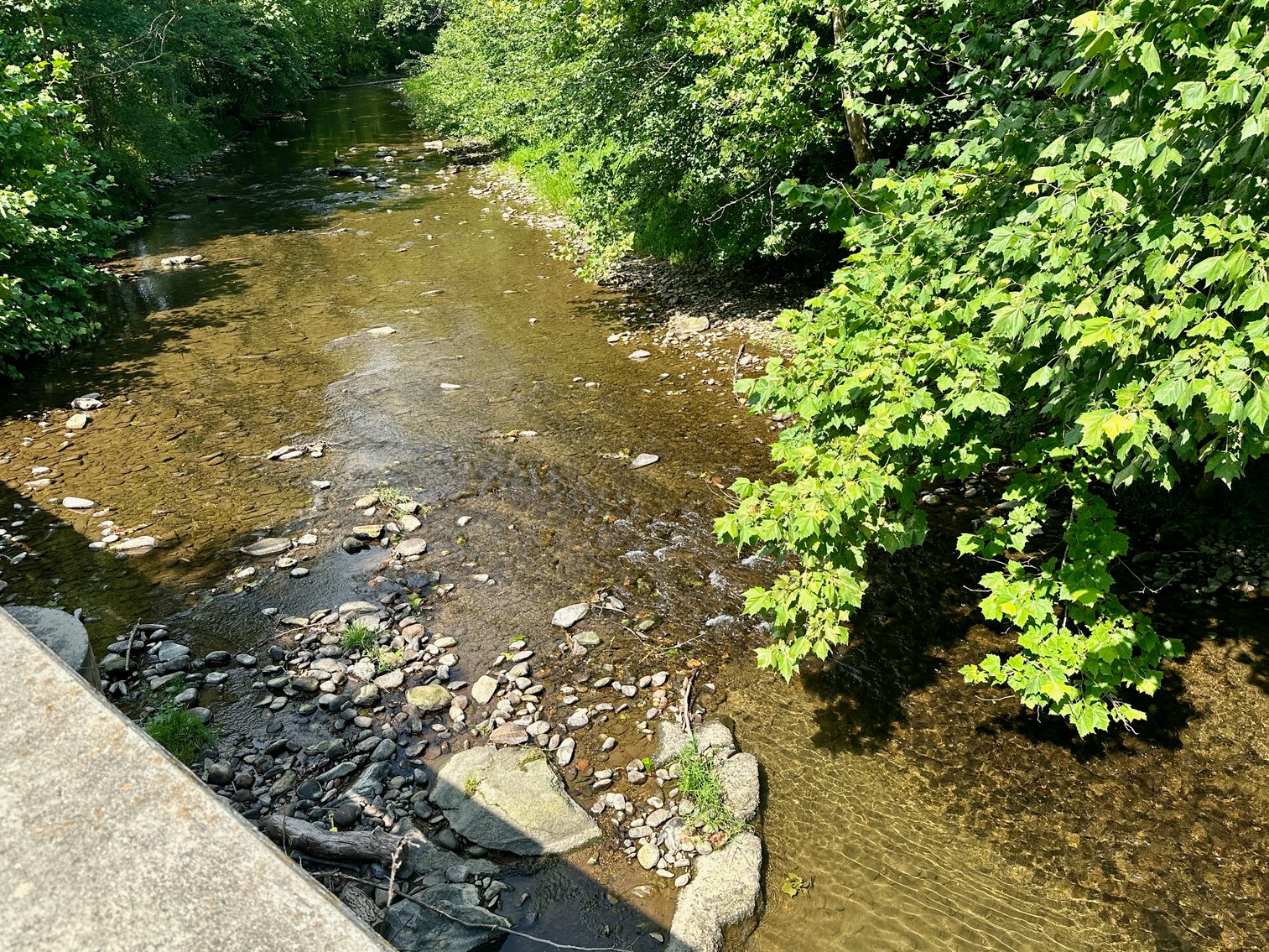 Image for 4 BR/2 BA Log Home on 7.9 +/- Acres w/400' +/- of Rapidan River Frontage & 2 Shops/Garages--Madison County, VA