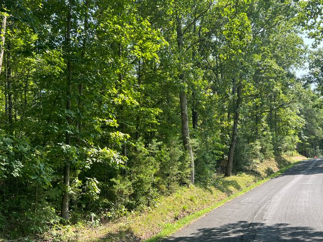 Image for 5.03 +/- Acre Wooded Land Parcel w/240' +/- of Road Frontage in Culpeper County, VA--ONLINE ONLY BIDDING!!