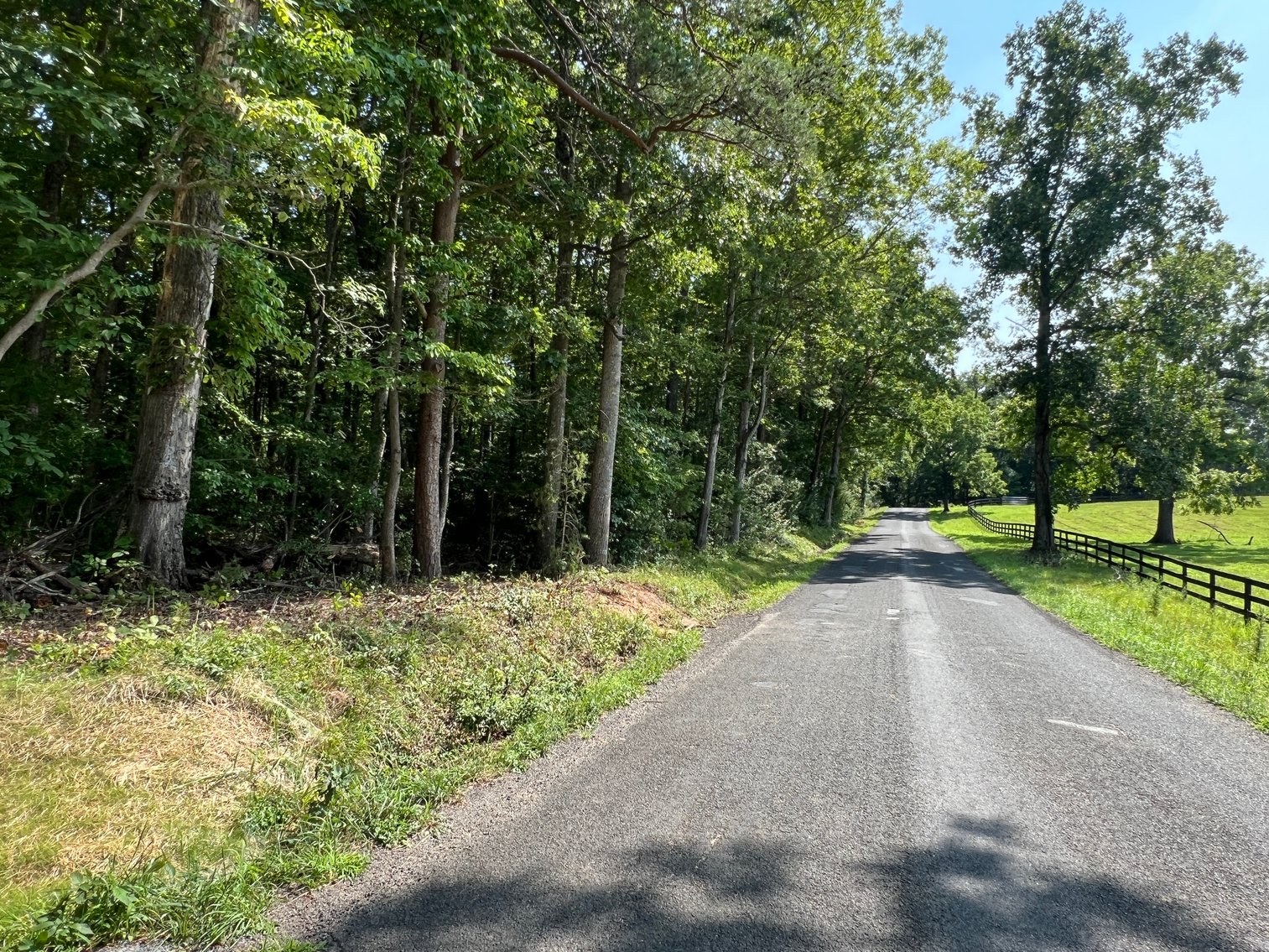 Image for 5.03 +/- Acre Wooded Land Parcel w/240' +/- of Road Frontage in Culpeper County, VA--ONLINE ONLY BIDDING!!