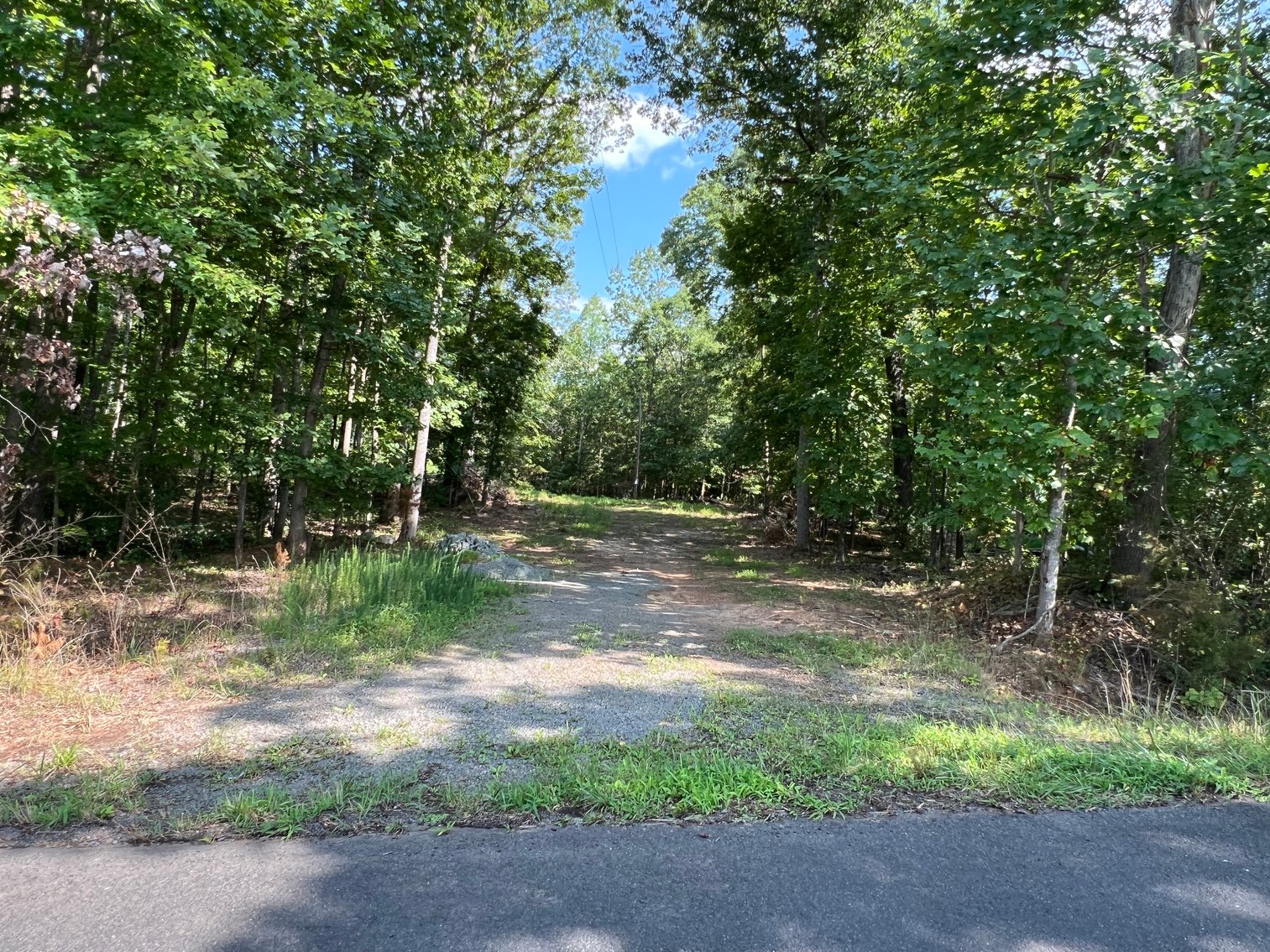 Image for 5.03 +/- Acre Wooded Land Parcel w/240' +/- of Road Frontage in Culpeper County, VA--ONLINE ONLY BIDDING!!