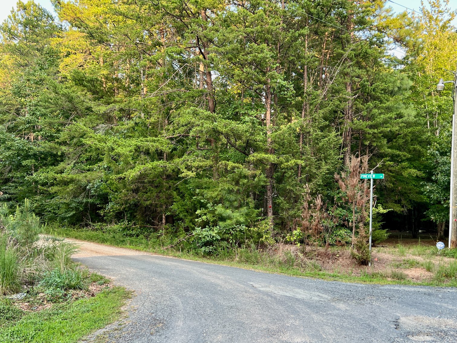 Image for 14 +/- Acre Wooded Parcel/Building Lot in Prince Edward County, VA--SELLING to the HIGHEST BIDDER via ONLINE ONLY BIDDING!!