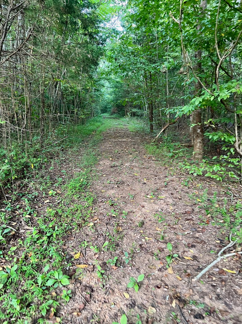 Image for 14 +/- Acre Wooded Parcel/Building Lot in Prince Edward County, VA--SELLING to the HIGHEST BIDDER via ONLINE ONLY BIDDING!!