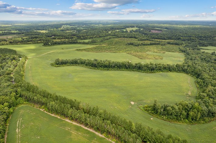 1,600 +/- Acres w/5 +/- Miles of South Anna River Frontage, 6 miles from I-64 & 30 Miles From Charlottesville & Short Pump, VA--Louisa County, VA