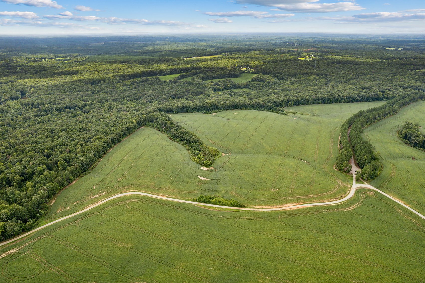 Image for 1,600 +/- Acres w/5 +/- Miles of South Anna River Frontage, 6 miles from I-64 & 30 Miles From Charlottesville & Short Pump, VA--Louisa County, VA