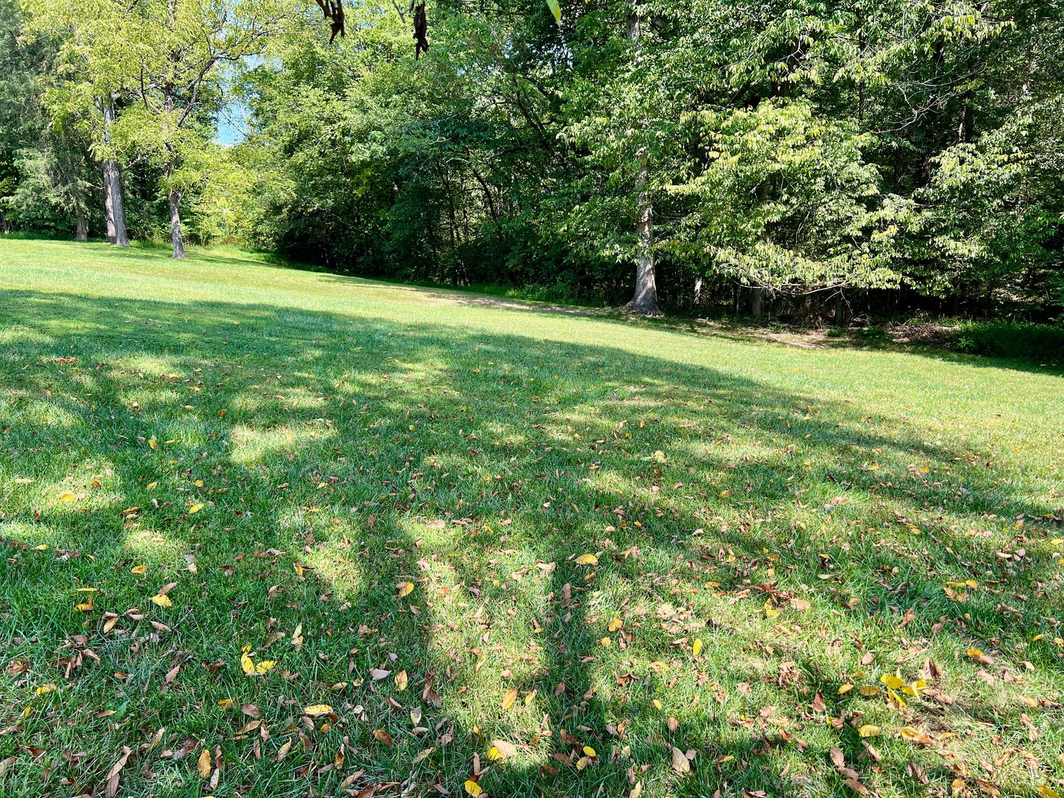 Image for 4 BR/3 BA Brick Home w/Walk-Out Basement on 5.4 +/- Acres in Nokesville, VA--Prince William County