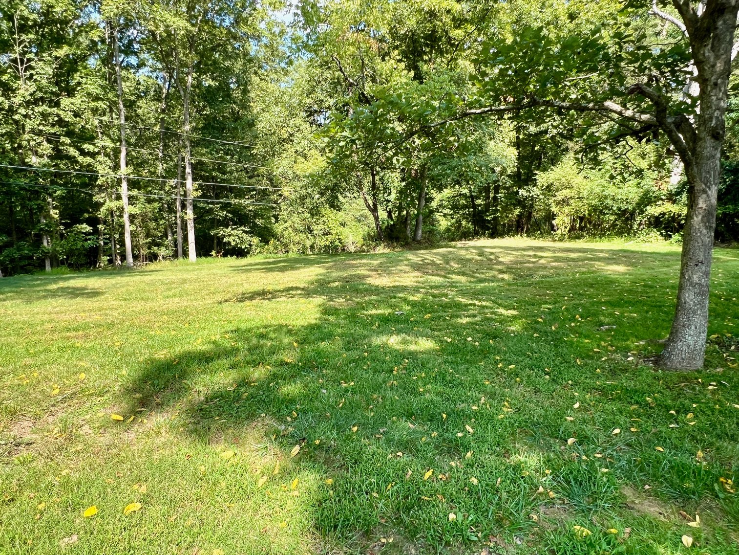 Image for 4 BR/3 BA Brick Home w/Walk-Out Basement on 5.4 +/- Acres in Nokesville, VA--Prince William County