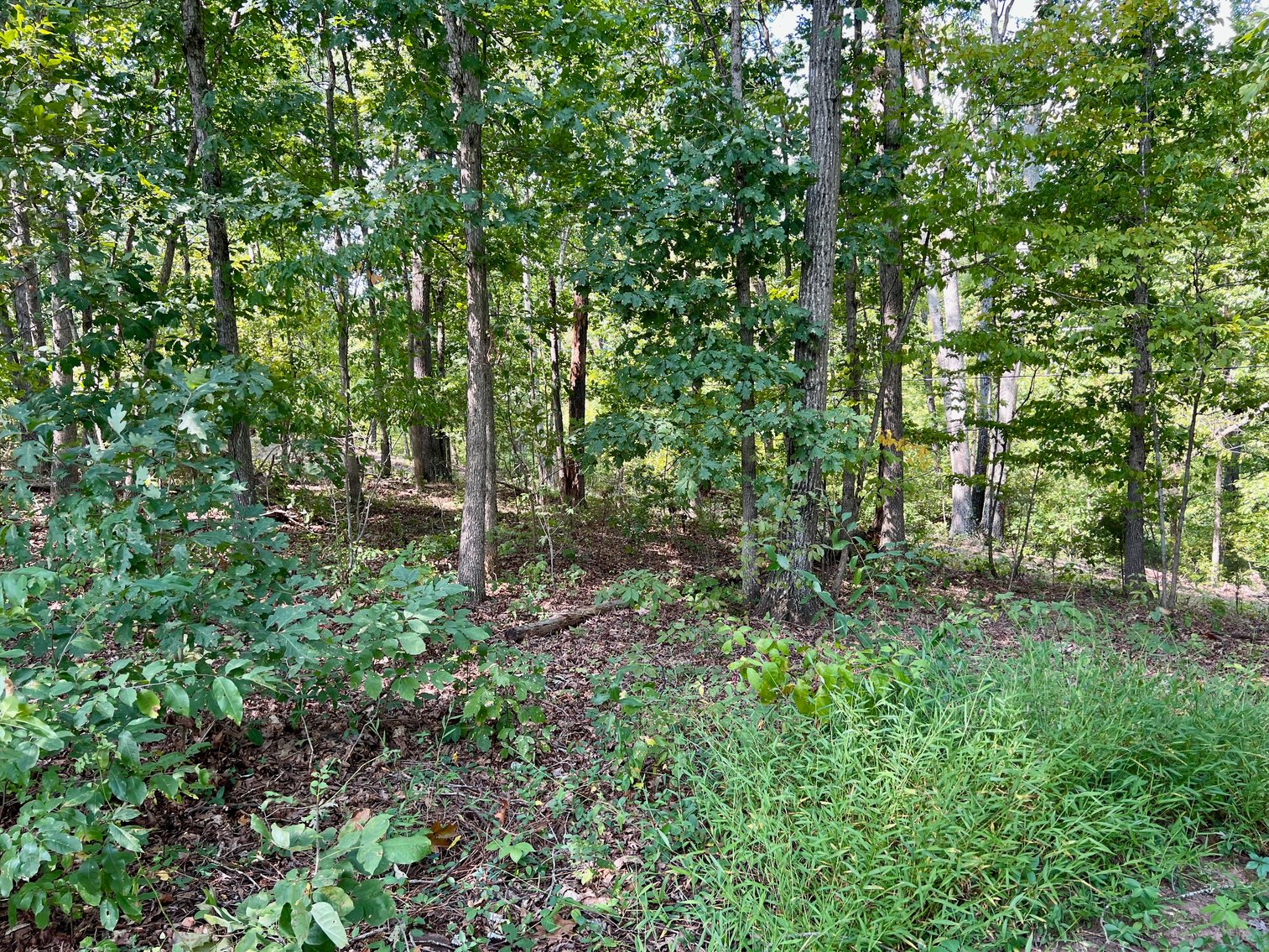 Image for 4 BR/3 BA Brick Home w/Walk-Out Basement on 5.4 +/- Acres in Nokesville, VA--Prince William County