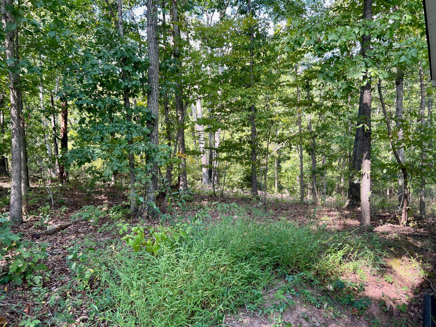 Image for 4 BR/3 BA Brick Home w/Walk-Out Basement on 5.4 +/- Acres in Nokesville, VA--Prince William County