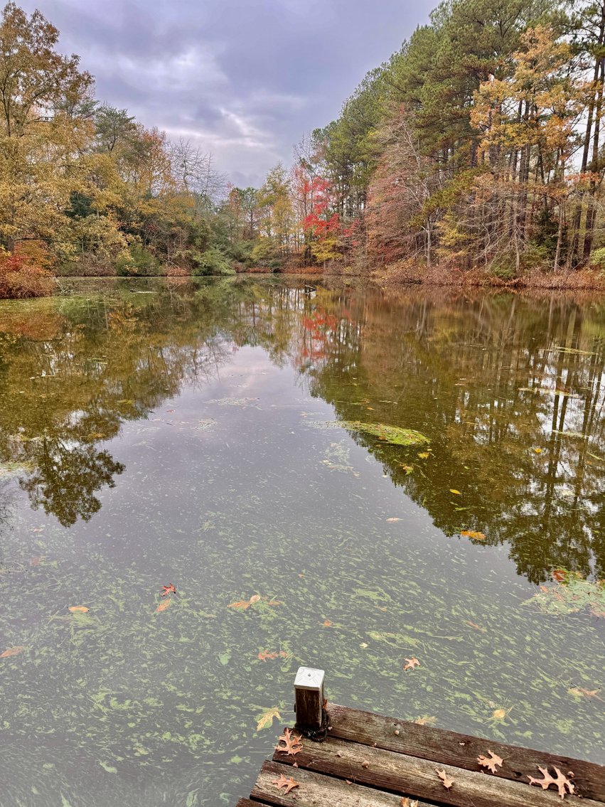 Image for 3 BR/2 BA Lake Front Home w/Detached Garage/Shop on .5 +/- Acre Lot in the Old Creek Neighborhood of Tappahannock, VA--ONLINE ONLY BIDDING!!