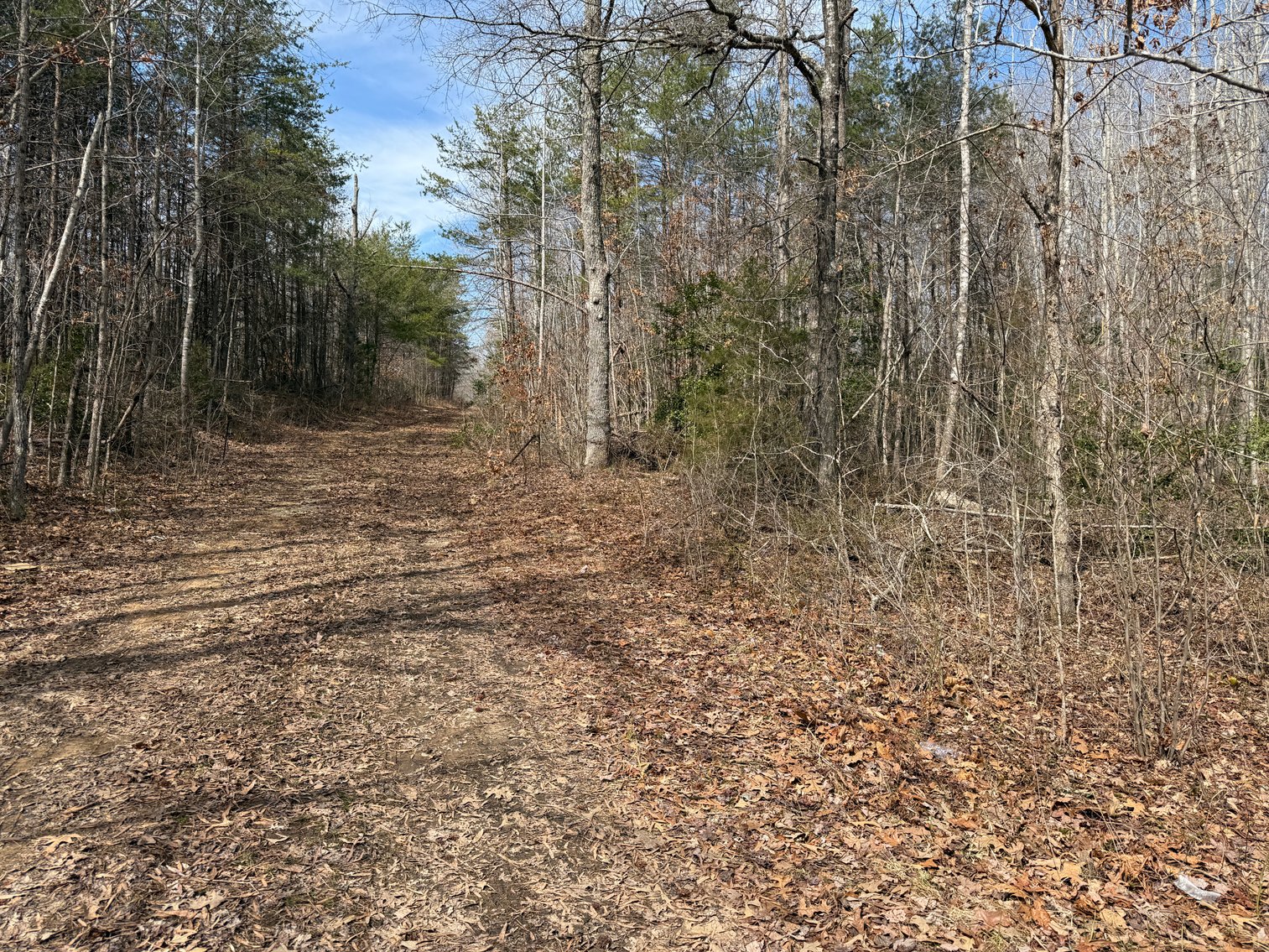 Image for 18 +/- Acre Estate Building Lot in Spotsylvania County, VA-- SELLING to the HIGHEST BIDDER via ONLINE ONLY BIDDING!!