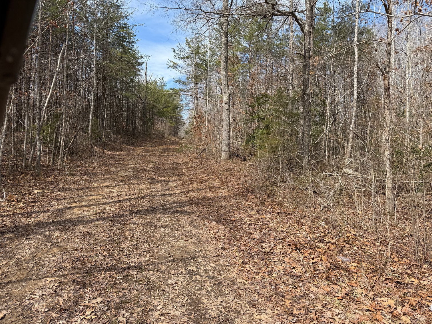 Image for 18 +/- Acre Estate Building Lot in Spotsylvania County, VA-- SELLING to the HIGHEST BIDDER via ONLINE ONLY BIDDING!!