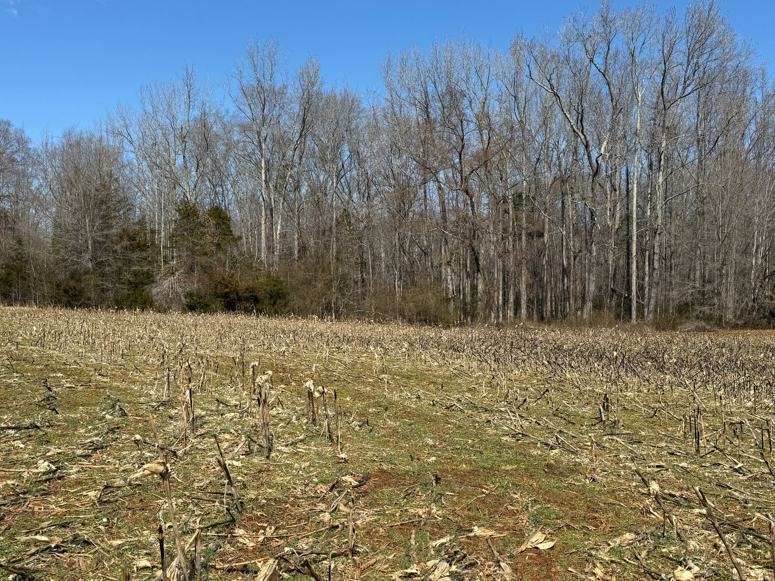 Image for 30.45 +/- Acre Estate Building Lot in Spotsylvania County, VA-- SELLING to the HIGHEST BIDDER via ONLINE ONLY BIDDING!!