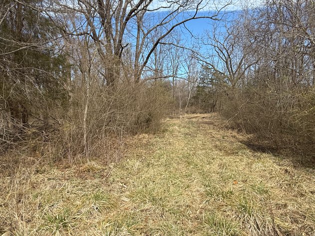 Image for 50 +/- Acre Estate Building Lot in Spotsylvania County, VA-- SELLING to the HIGHEST BIDDER via ONLINE ONLY BIDDING!!