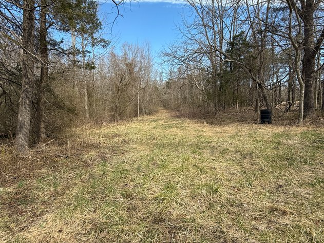 Image for 50 +/- Acre Estate Building Lot in Spotsylvania County, VA-- SELLING to the HIGHEST BIDDER via ONLINE ONLY BIDDING!!